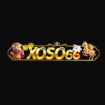 XOSO668 COM CO Profile Picture