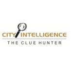 city intelligence Profile Picture