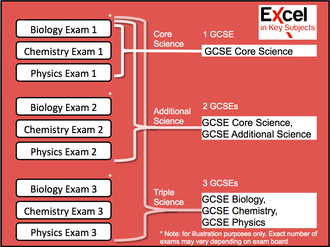 Double vs Triple Science GCSE: What is the Difference?