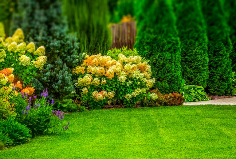 Landscaping Companies Reston Va | Lawn Mowing Service Reston