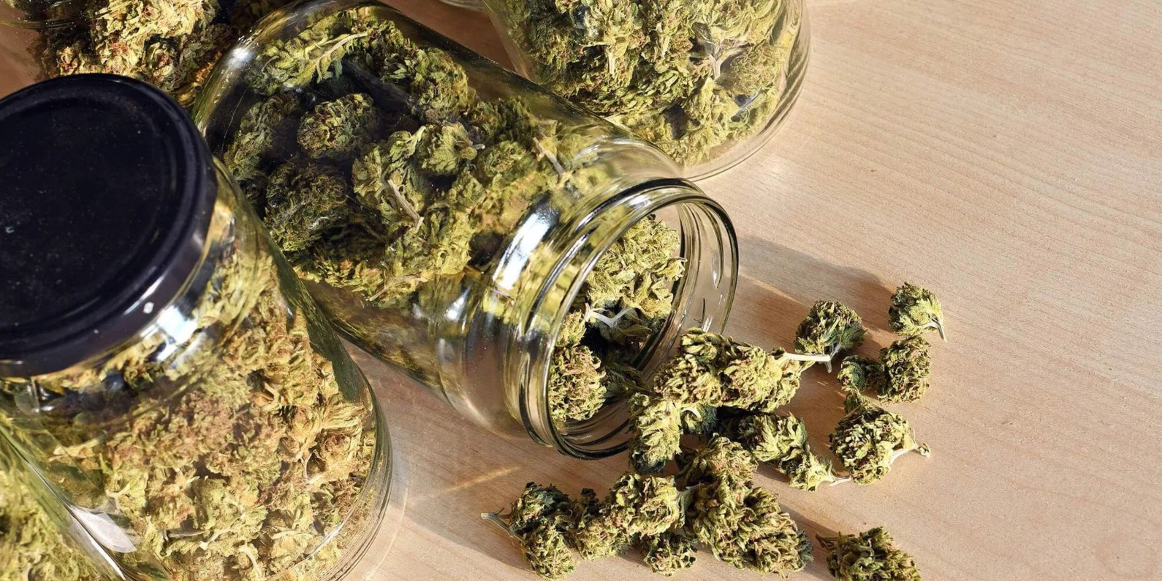 Cannabis Dispensary in Whitby: Is the Delivery Model the New Standard?