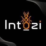 intozi Profile Picture