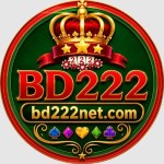 bd222 com profile picture