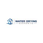 waterdryingexperts Drying Experts profile picture