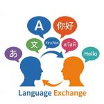 vn polyglot Profile Picture