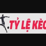 Tỷ kệ Kèo Profile Picture