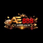 AE888 ORGIM Profile Picture