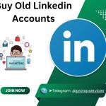 Risks Associated With Buying Old Twitter Accounts Profile Picture