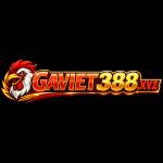 Gaviet 388 Profile Picture