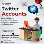 Buy Old Twitter Accounts Profile Picture