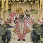 sajawat events Profile Picture