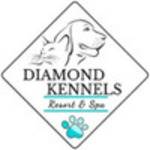 Diamond Kennels Profile Picture
