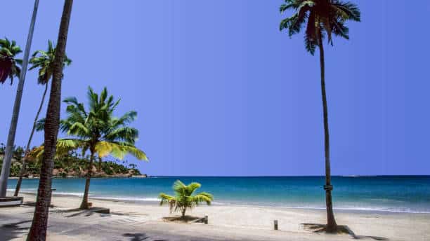 Local Tour Operator in Andaman | Andaman Based Tour Operator