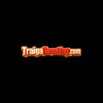 Trai Ga Bao Sting profile picture