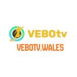 VEBOTV wales Profile Picture