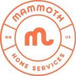 Mammoth Home Services Profile Picture