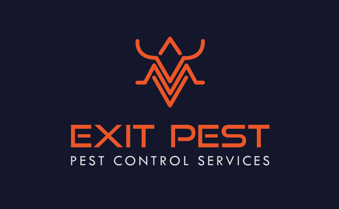 Pest Control Wellington | Exit Pest Darren Labrum