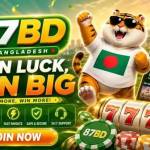 87BD 87BD Profile Picture