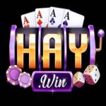 Haywinn is Profile Picture