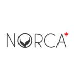 Norca norcaswim Profile Picture