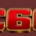 cv666 cv666 Profile Picture