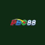PBC88P COM Profile Picture