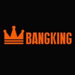 Acheter une vape Bang King en France Profile Picture