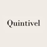 Quintivel Profile Picture