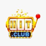 HIT CLUB Profile Picture