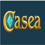 Casea Casino Profile Picture