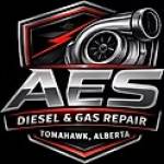 AES Services Profile Picture