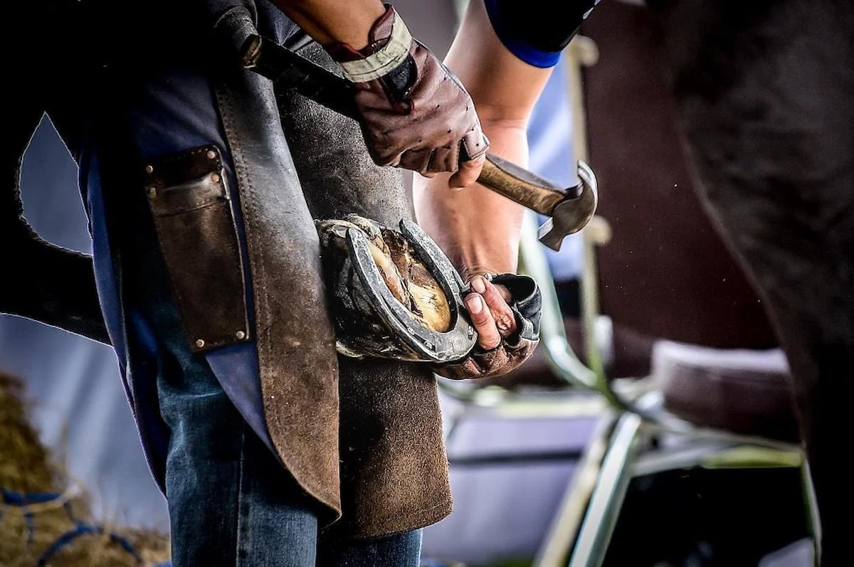 4 Essential Farrier Tools for Good Hoof Care