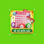 Kết Quả Xổ Số Miền Bắc Profile Picture