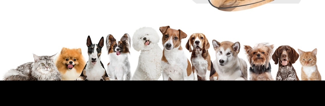 Tree Pet Veterinary Clinic Cover Image