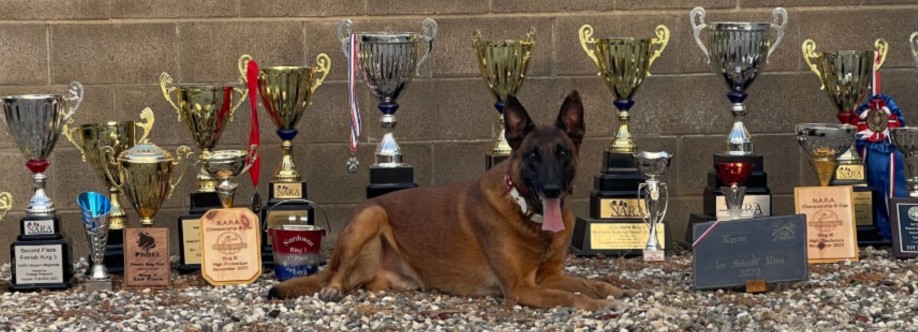 Prestige  Protection Dogs Cover Image