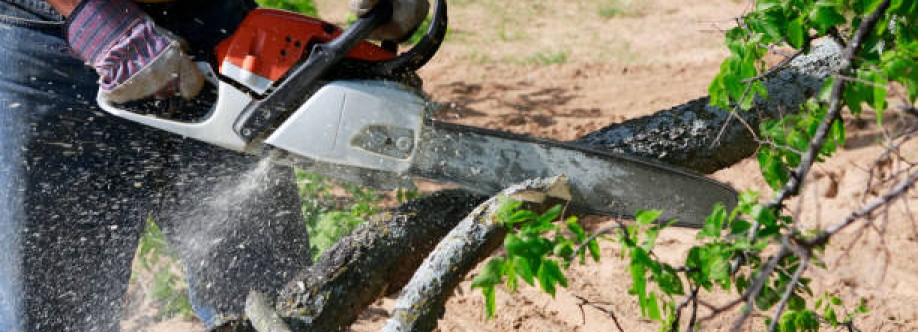 Sydney Tree Felling Cover Image