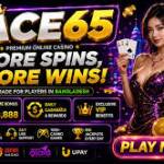 ace65 ace65 Profile Picture
