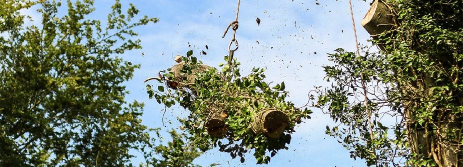 Bens Tree and Garden Services Cover Image