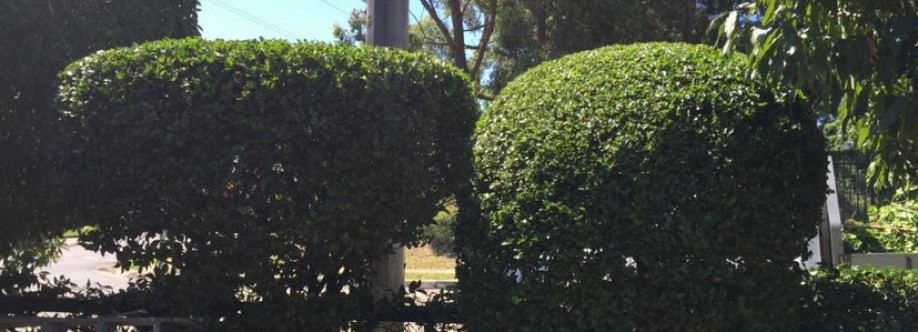 North Shore Tree Loppers Cover Image