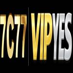 TK777 Profile Picture