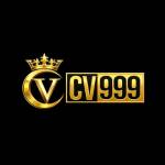 PlayCV999 com profile picture