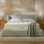 Buy Saatva Mattress Profile Picture