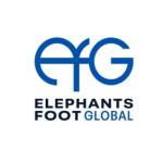 Elephants Foot UAE Profile Picture