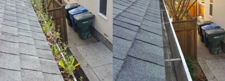 TX Gutter Expert Cover Image