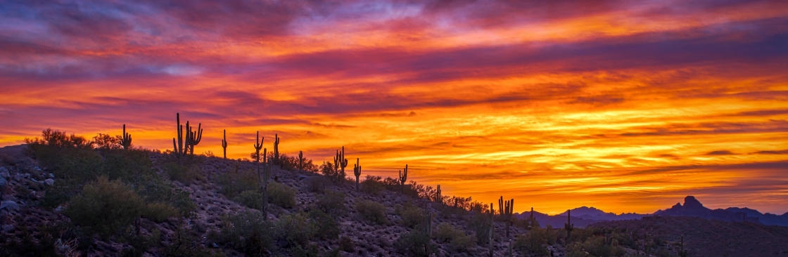Pima Behavioral Health Cover Image