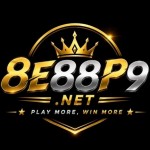 8E88P9 net Profile Picture