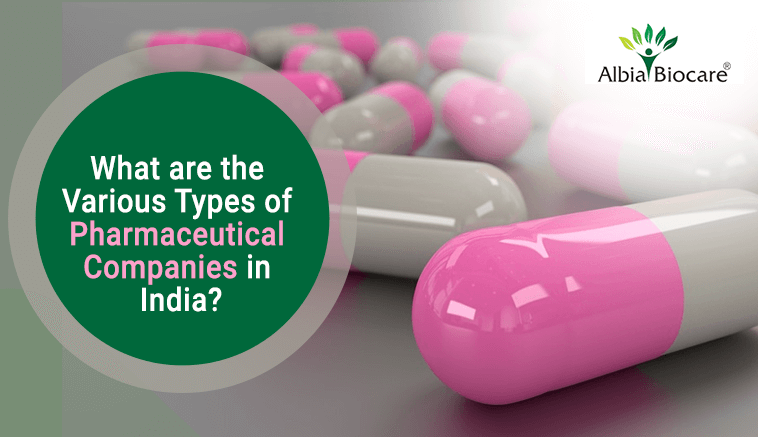 Various Types of Pharmaceutical Companies in India | Albia