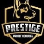 Prestige  Protection Dogs Profile Picture