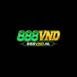 888vn dnl Profile Picture