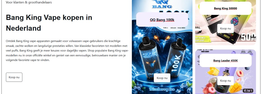 Bang King Vape kopen in Nederland Cover Image